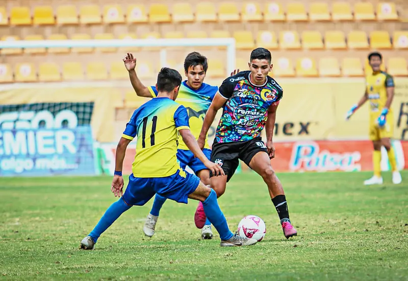 Alebrijes contra lobos