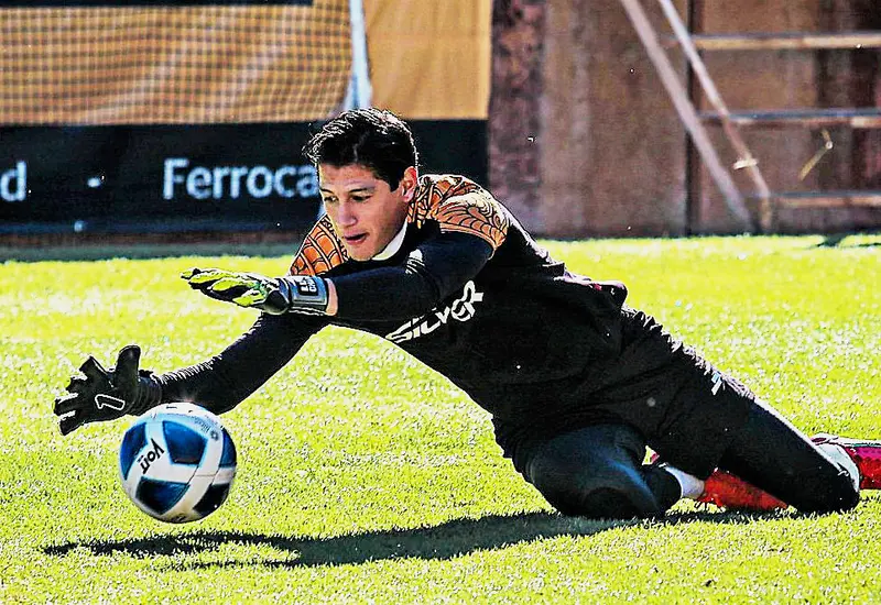 Alebrijillos entrenando