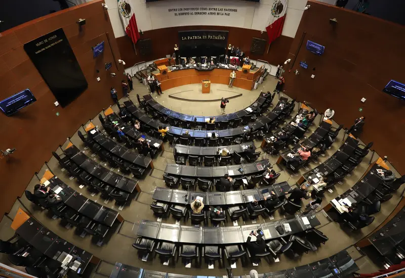 Desde diversas partes del estado de Oaxaca han exigido justicia; ahora lo hacen desde el Senado.  (Agencia Reforma)