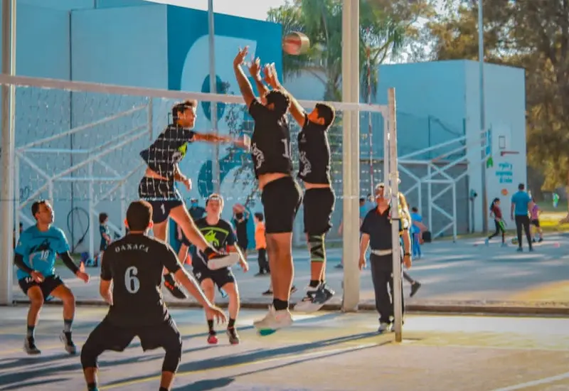 voleibol 