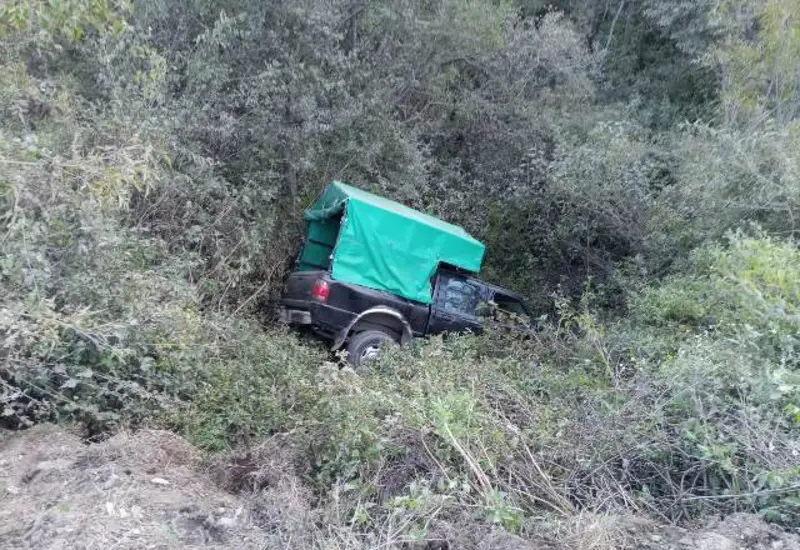 Camioneta entre la maleza