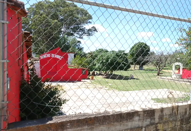 Celula delictiva en San Agustín de las Juntas