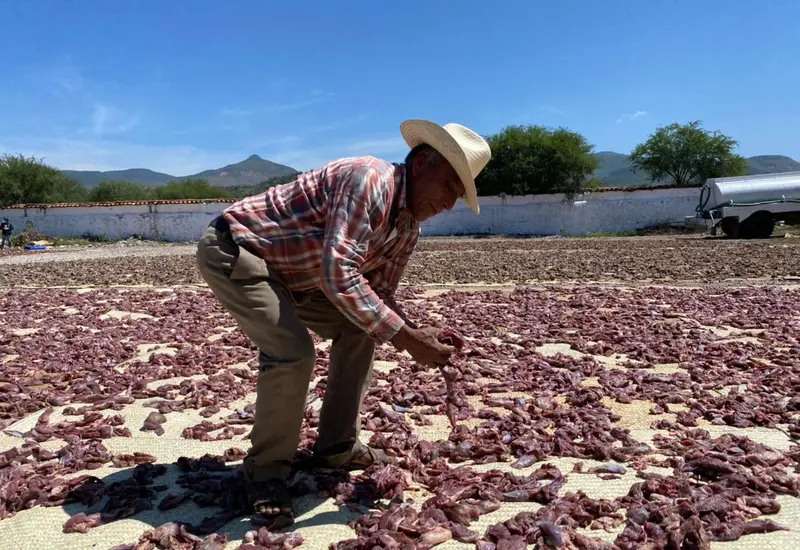 Chitero en la mixteca