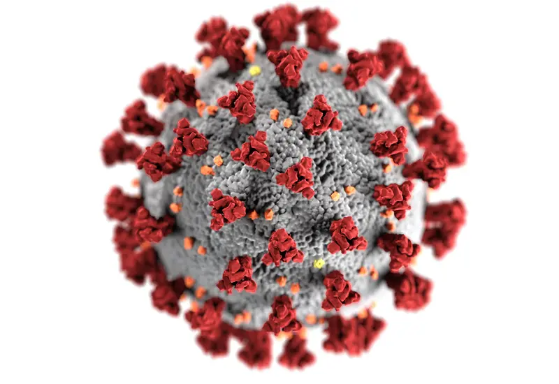 Virus causante de la COVID-19