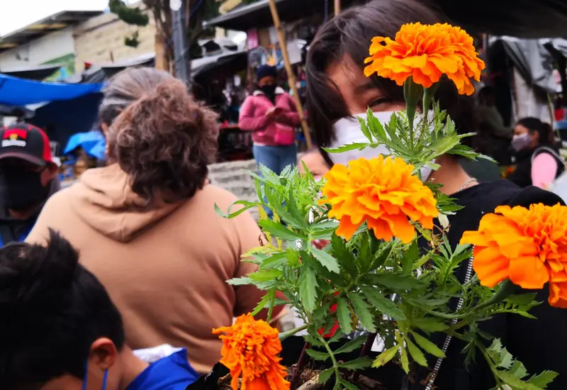 Niña cargando flores de cempasúchil