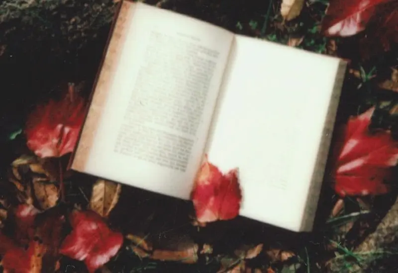 Libro sobre tronco con hojas de otoño