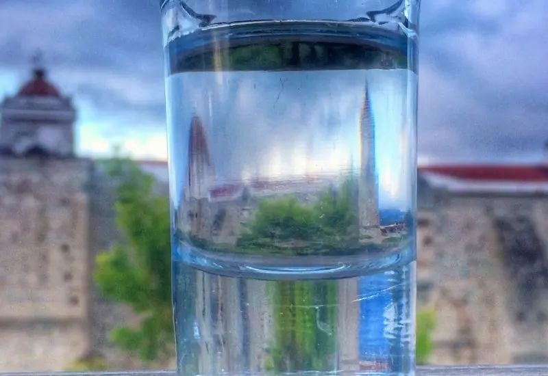 vaso con templo de fondo