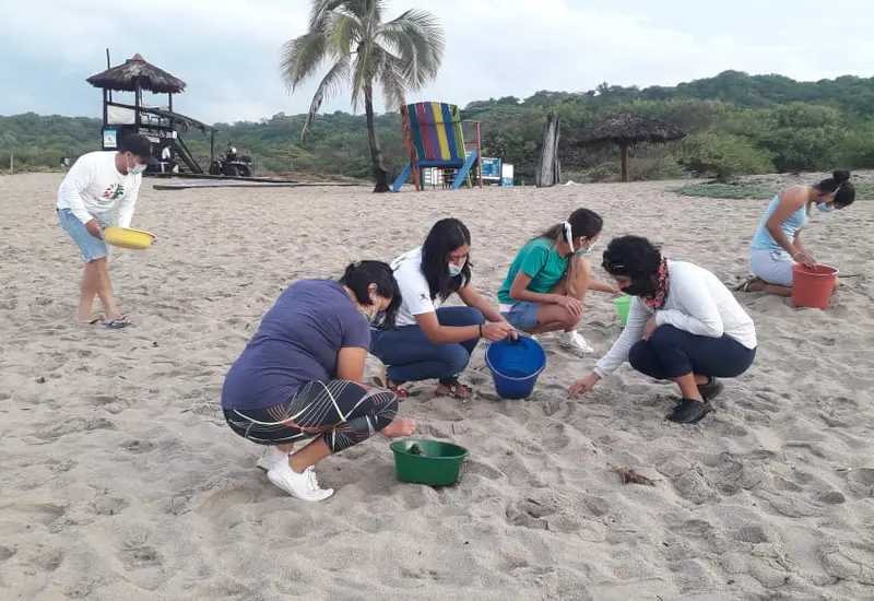 Voluntarios limpiando playa Bachoco