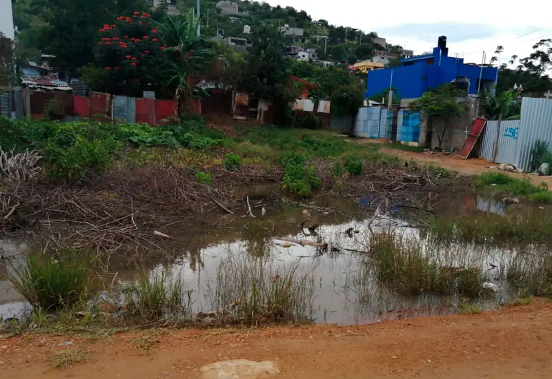  En la colonia Naranjales de Santa Cruz Amilpas se registran inundaciones ante las fuertes lluvias. 