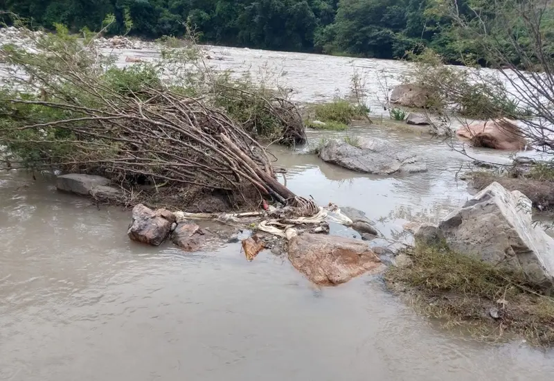 Los restos de Maribel se encontraron en el río Santa Catarina, de San Antonio Ocotlán.