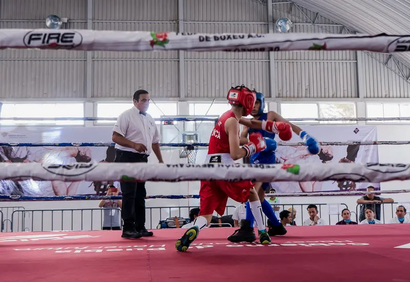  El Campeonato Estatal de Boxeo se realizará en Cuilápam de Guerrero.
