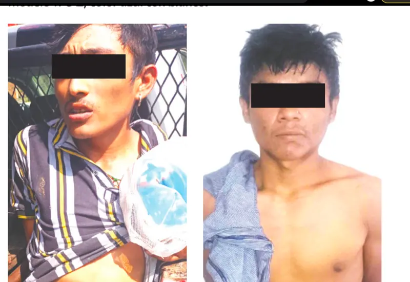 Delincuentes detenidos