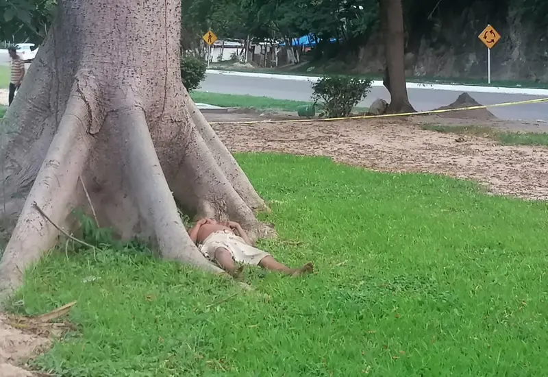 persona muerte entre las raíces de un árbol en Huatulco