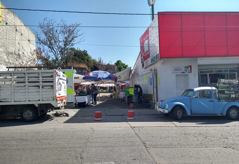 Mercado de la Mixteca 