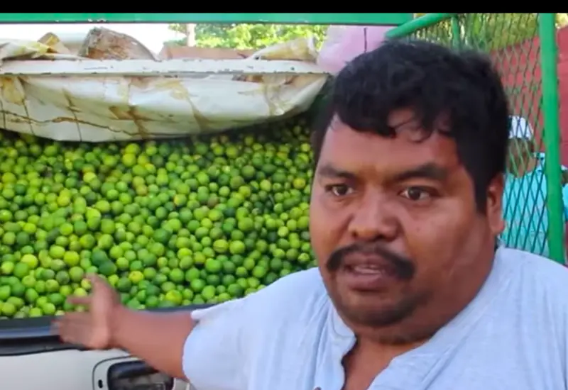 comerciante-de-limon