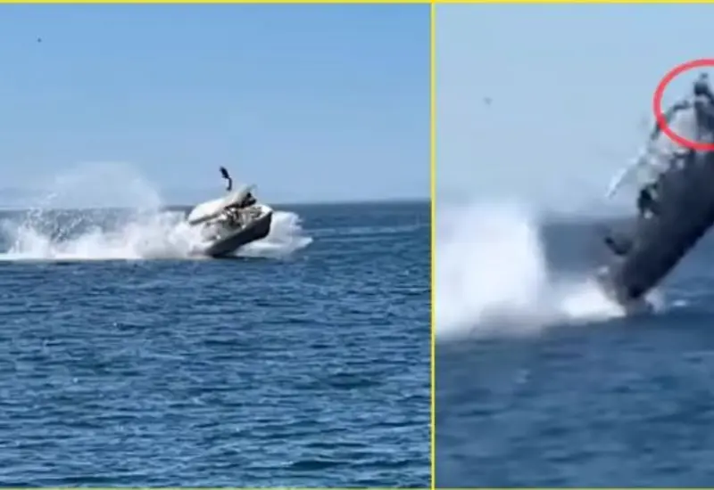 Ballena choca con lancha