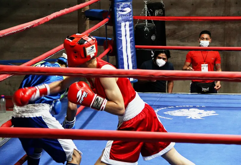 boxeadores-luchando