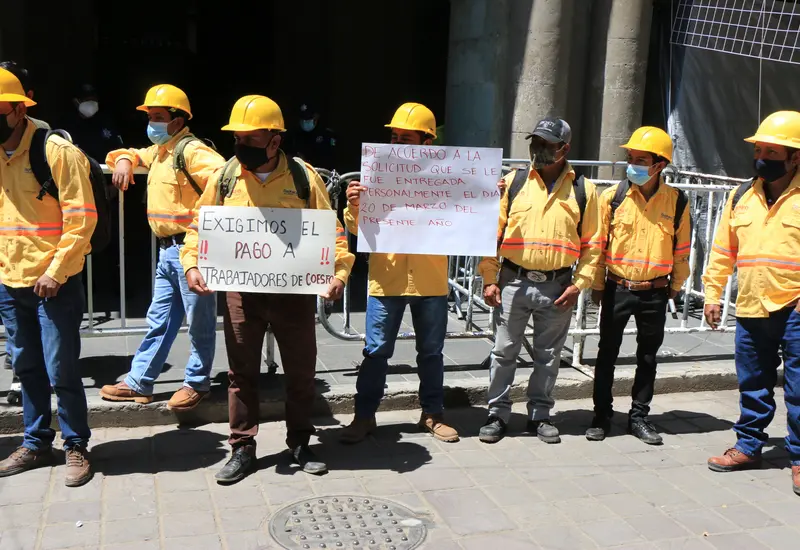 brigadistas