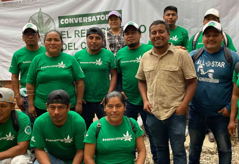 cannabis-oaxaca 
