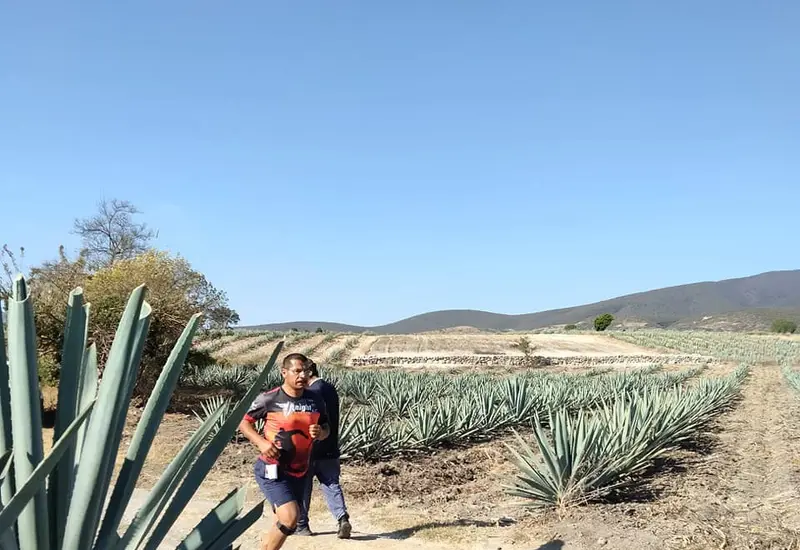 atleta-de-oaxaca