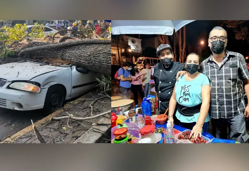 comerciante-del-llano-y-vehiculo-aplastado