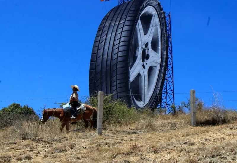 persona-montada-a-caballo