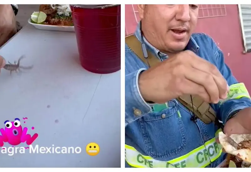 Comer insectos