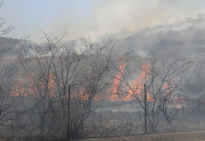 incendio_forestal
