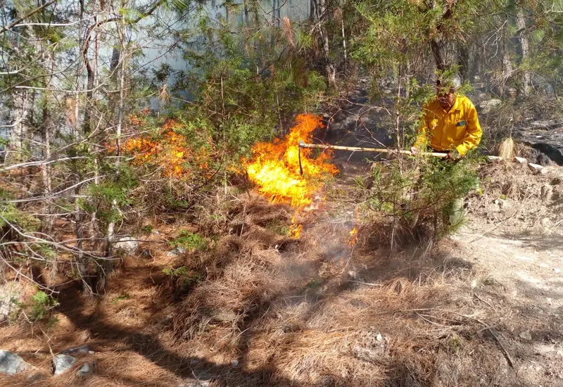 incendio-forestal