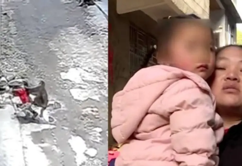 Mono ataca a niña