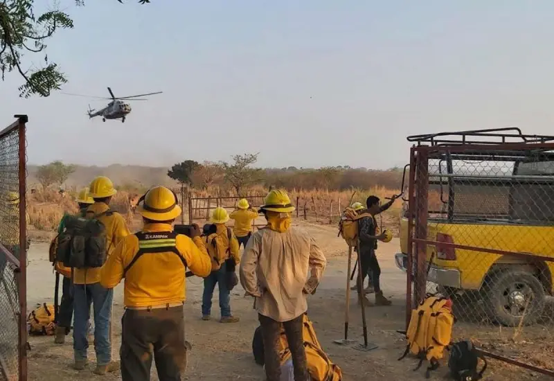 Bomberos