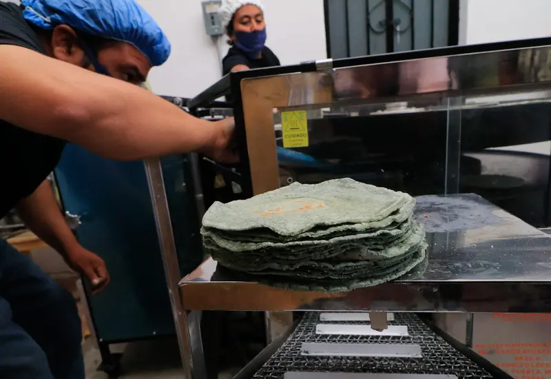 tortillas-de-maquina