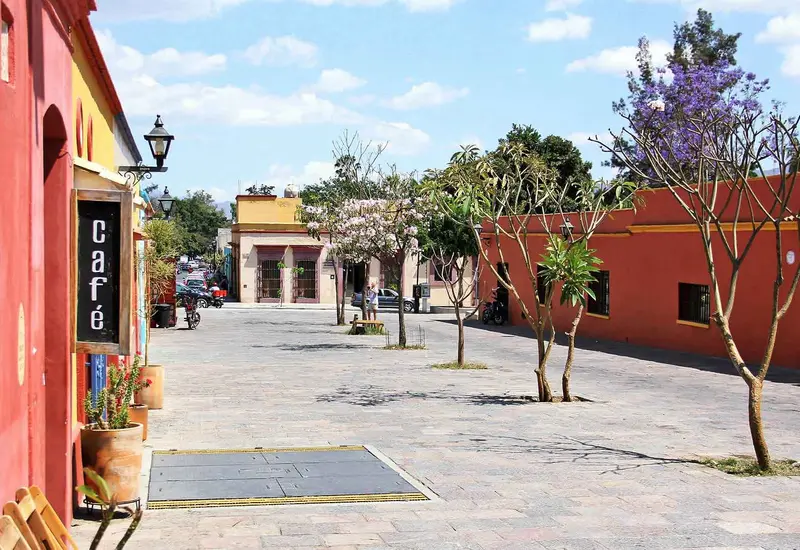 Barrio-Xochimilco-oaxaca