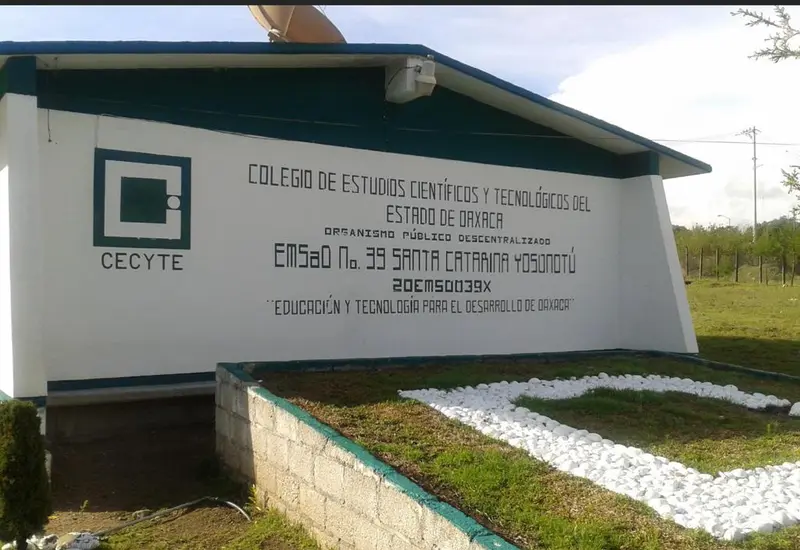 STSCECyTEO