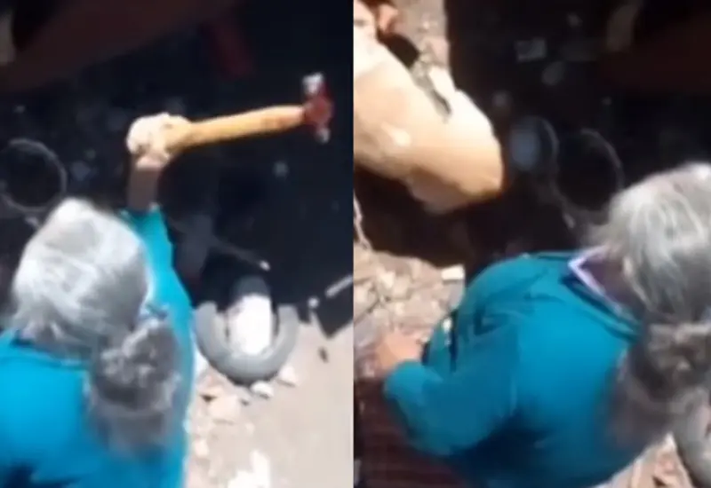 Ataque vs animal