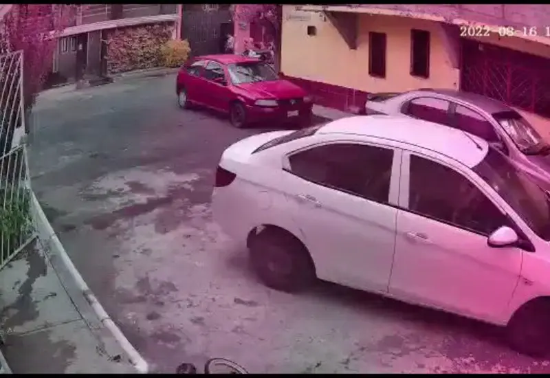 Atropellamiento
