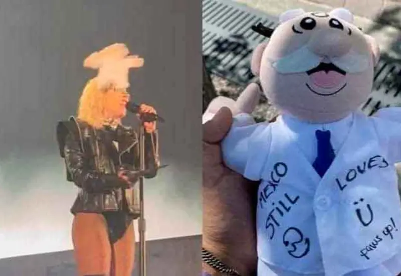 cantante-peluche