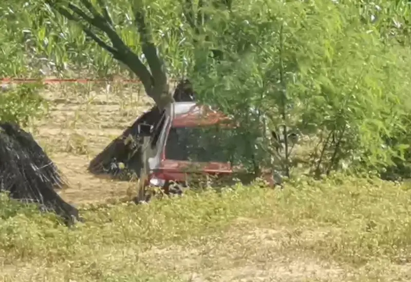 Hallan casquillos percutidos