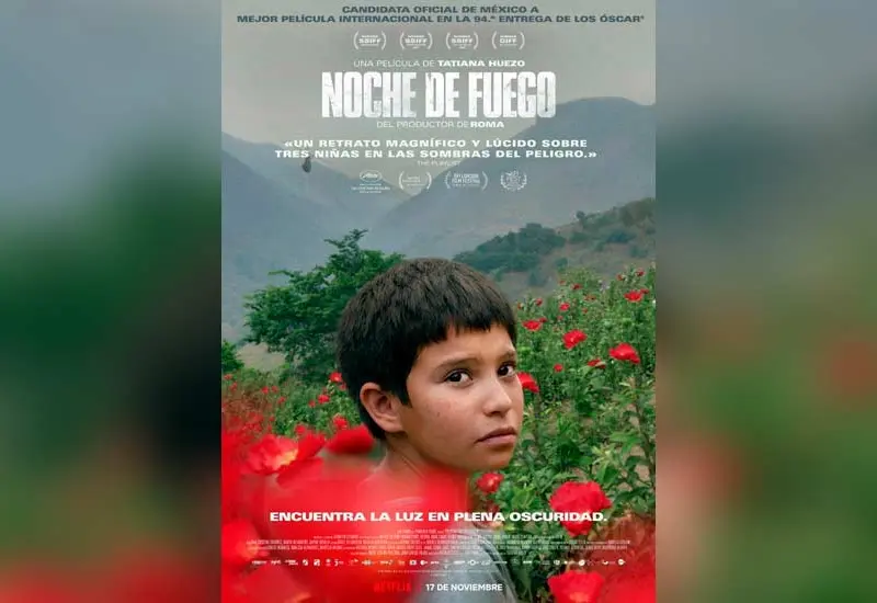 pelicula 