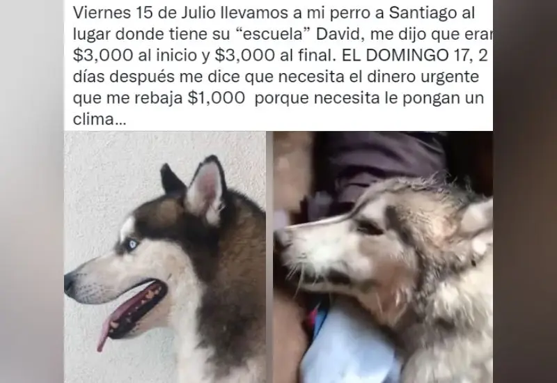 denuncia_en_twitter