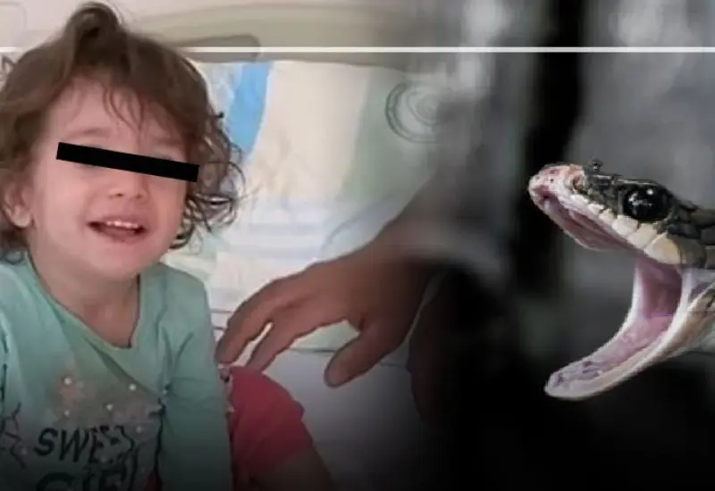serpiente_muerde_a_niña