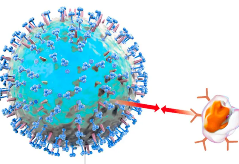virus_htlv