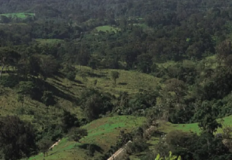chimalapa
