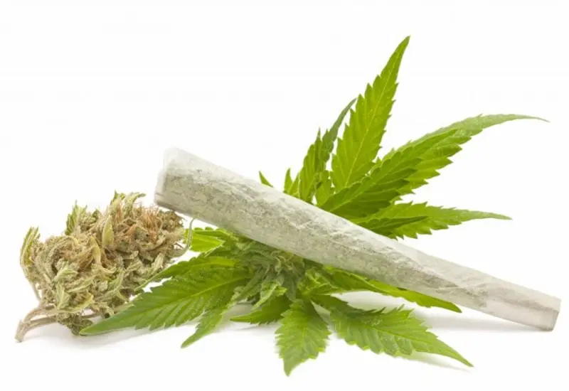 marihuana