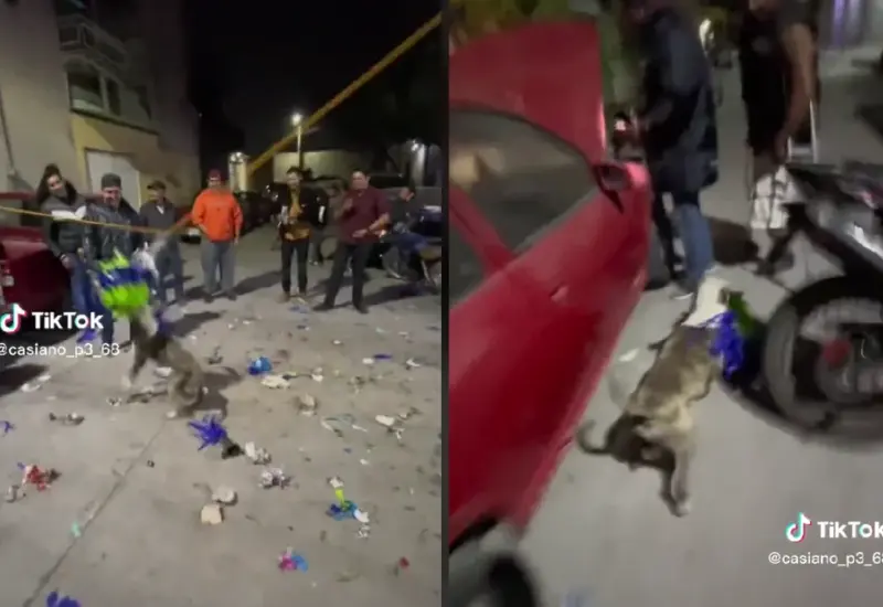 perrito_grinch_posada_roba_piñata