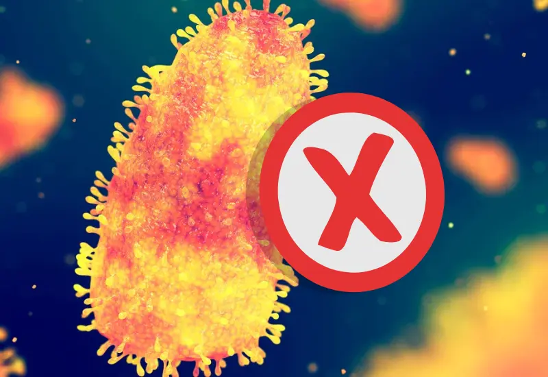 rabia_virus