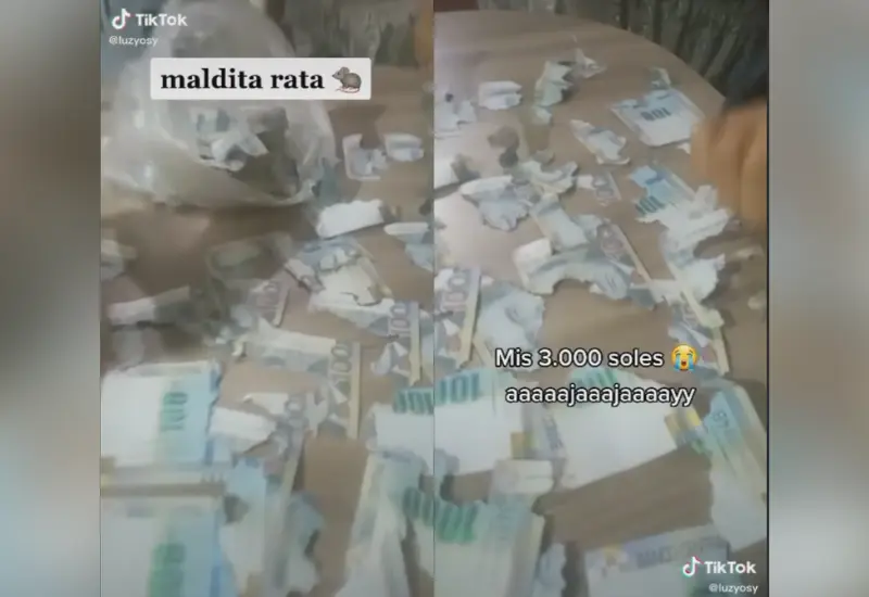 rata_dinero