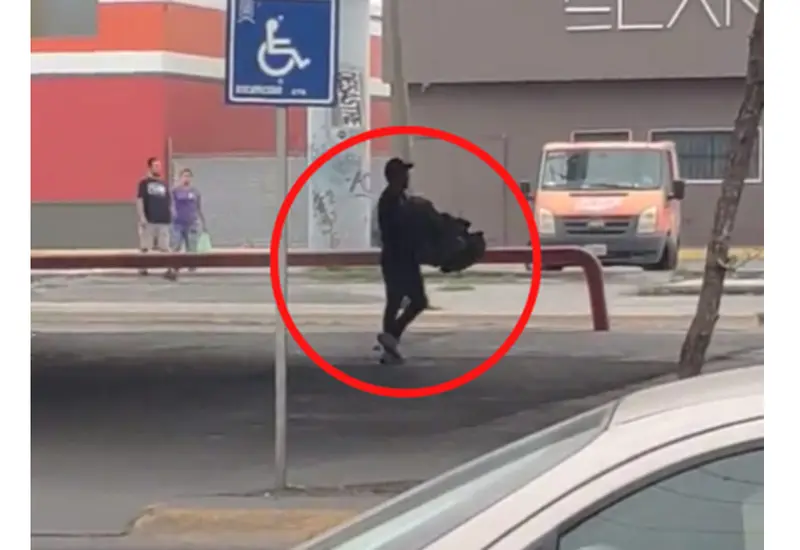 En las imágenes se puede observar a una persona que atrapa a estos animales bajo un puente vehicular. 