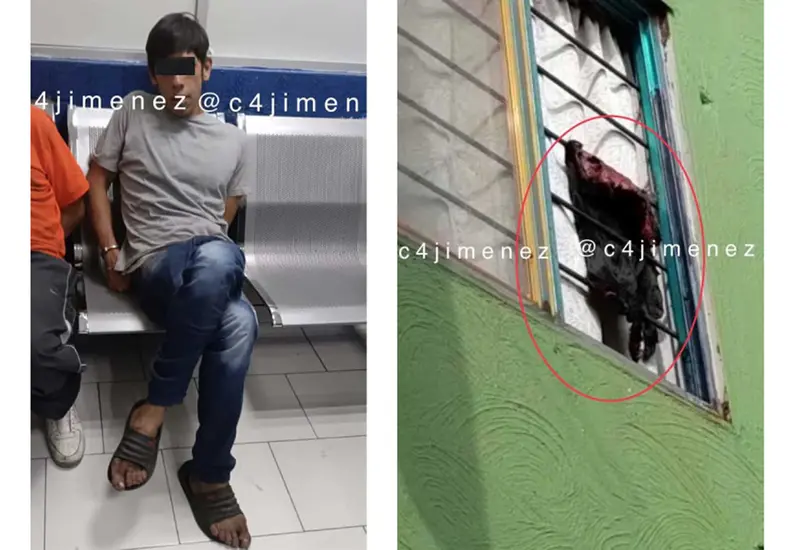 El joven quitaba la piel a los perros y la colgaba en la ventana de su casa como tendedero.