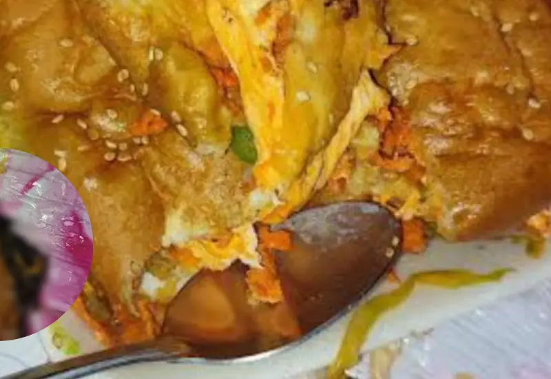 torta-perro